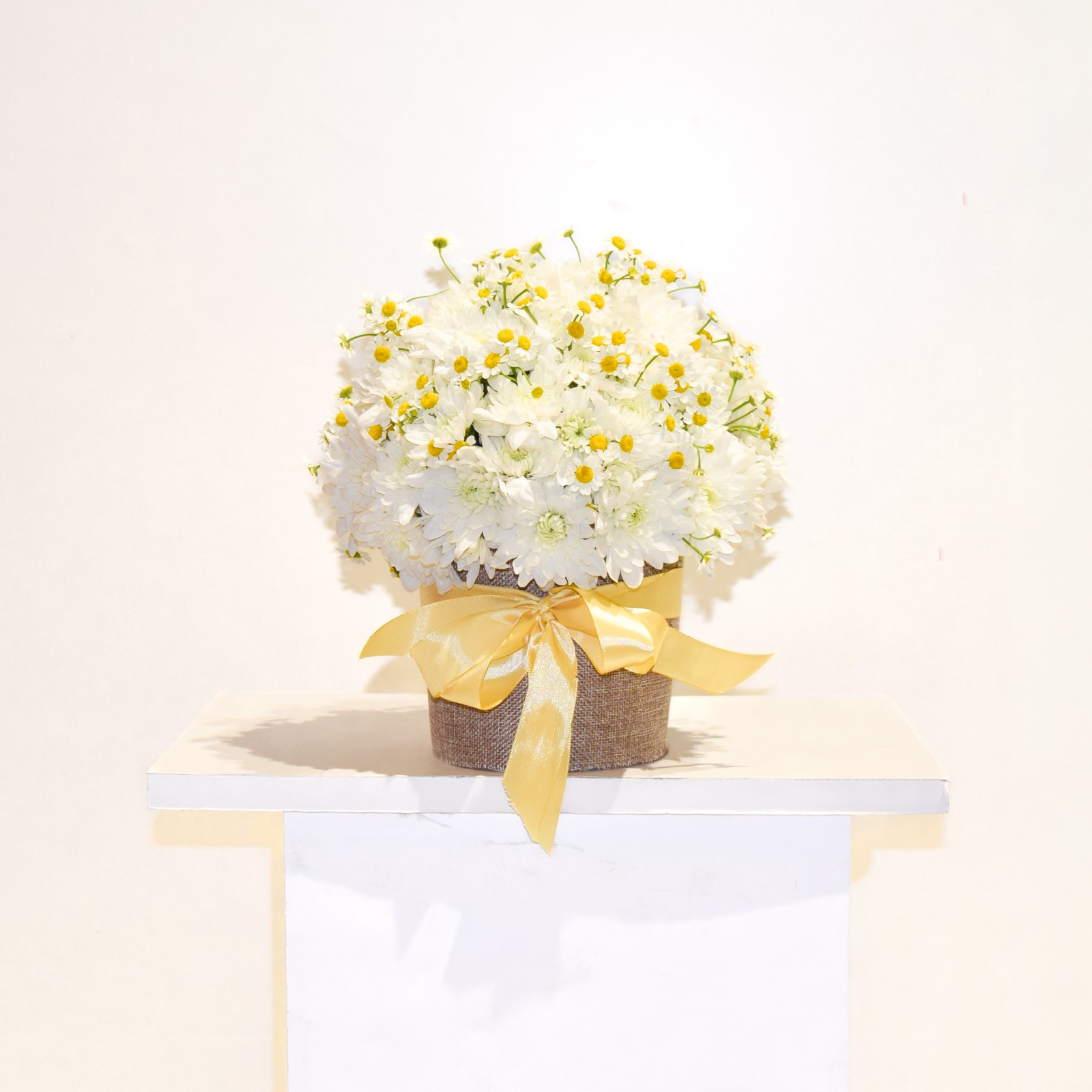 Chamomile Charm Flower Box Dubai