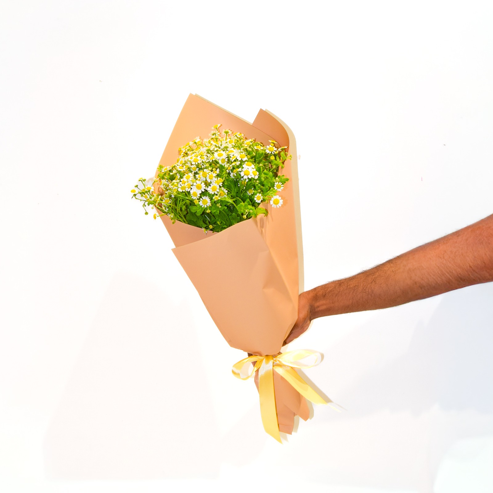 Hand tie Chamomile Dubai
