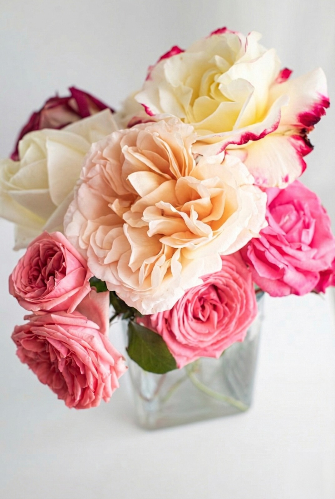How to Choose the Perfect Rose Bouquet for Someone Special?