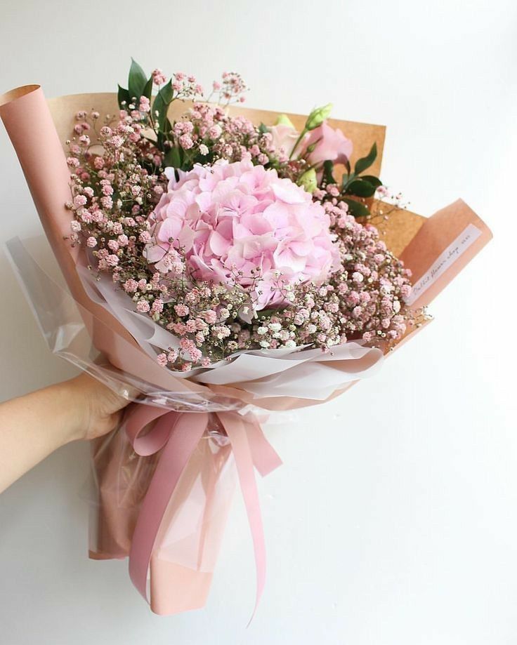 Carnations Flowers Dubai